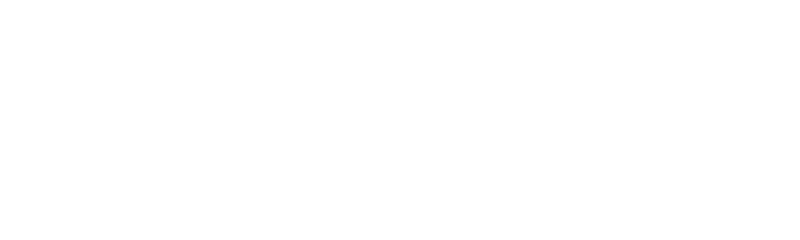 I.W.I.N. Foundation